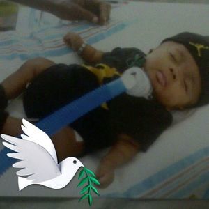 Meet your Posher, Shereece